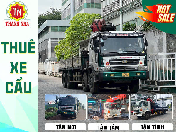 Công Ty Thanh Nhã Cho Thuê Xe Tải Vận Chuyển Chậu Hoa Ngày Tết Chuyên Nghiệp, Giữ Trọn Sắc Xuân