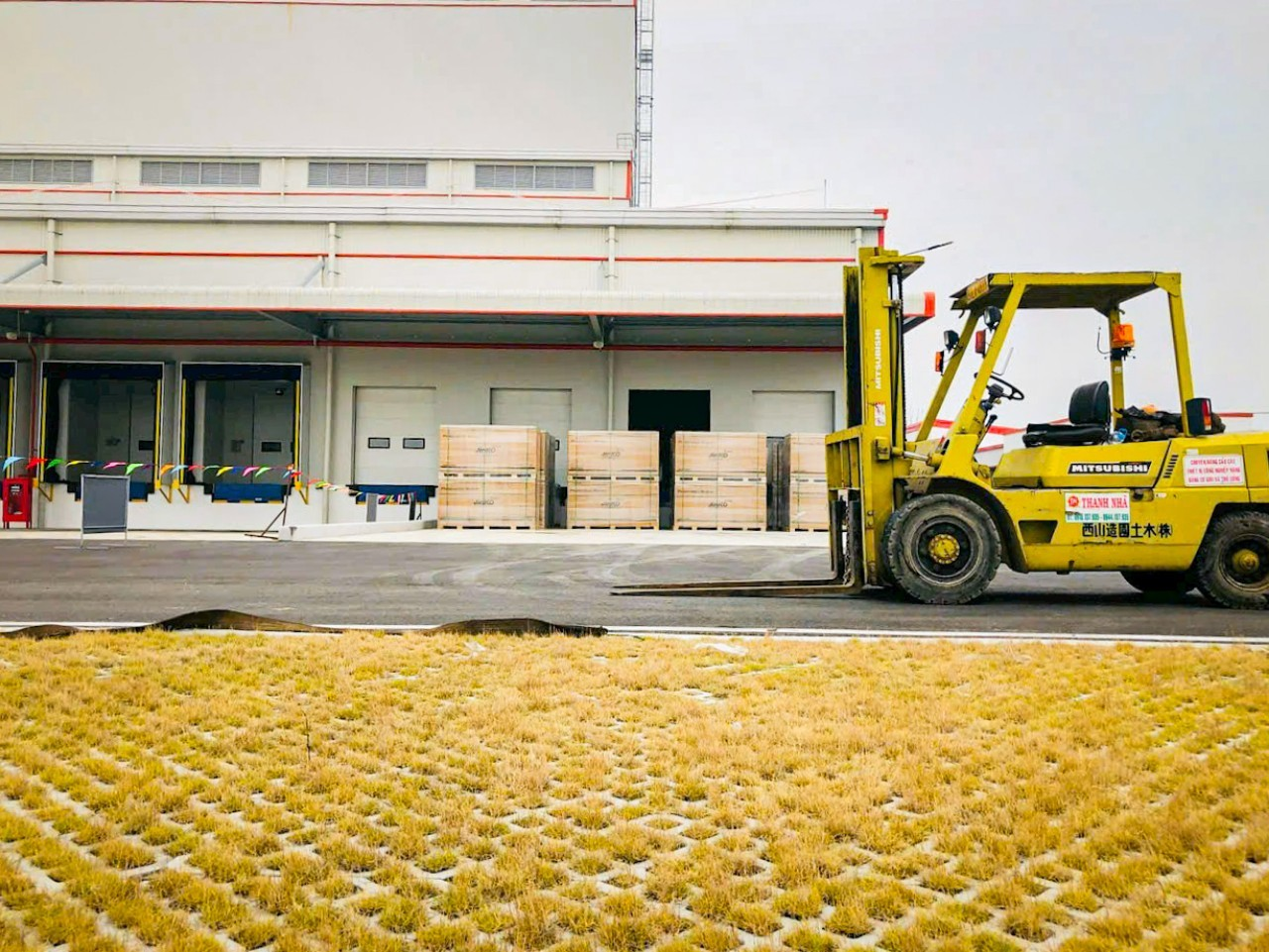 Dịch vụ cho thuê xe nâng hàng giá rẻ tại TP.HCM 